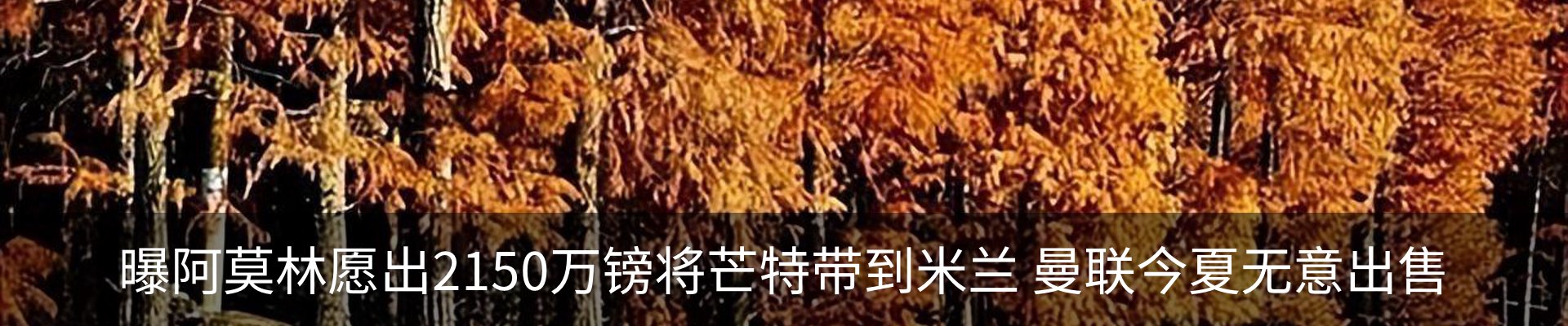 资讯中心